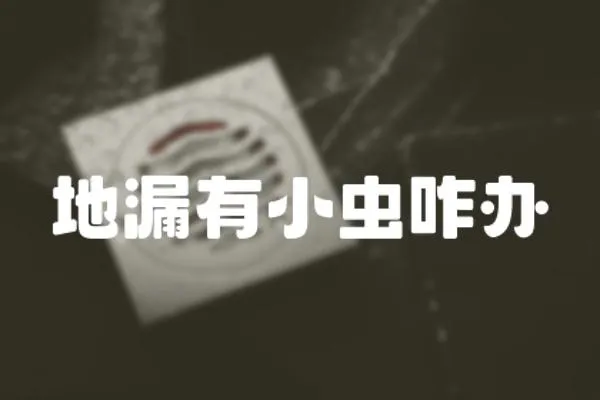 地漏有小蟲(chóng)咋辦