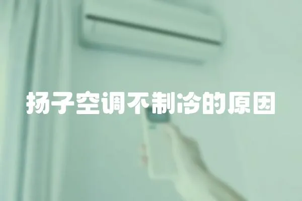 揚(yáng)子空調(diào)不制冷的原因