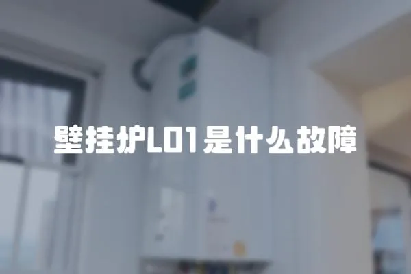 壁掛爐L01是什么故障