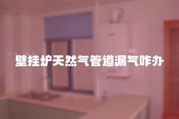 壁掛爐天然氣管道漏氣咋辦