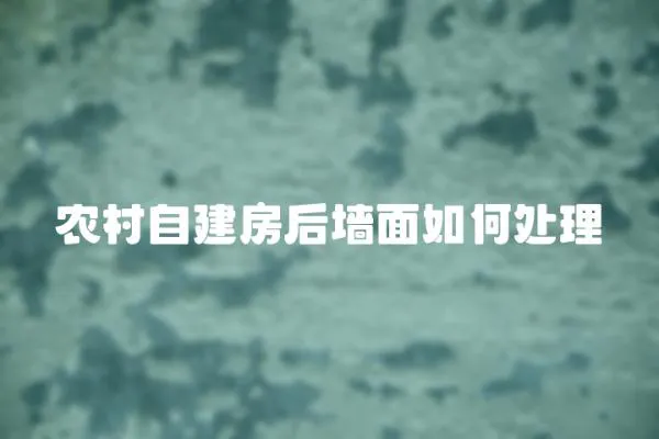 農村自建房后墻面如何處理