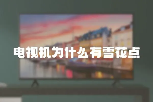 電視機為什么有雪花點