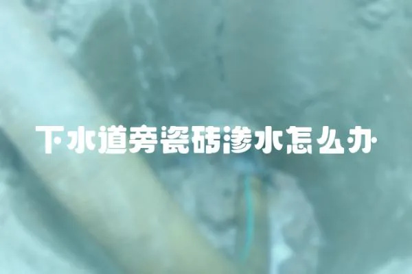 下水道旁瓷磚滲水怎么辦