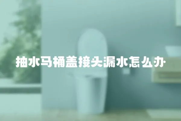 抽水馬桶蓋接頭漏水怎么辦