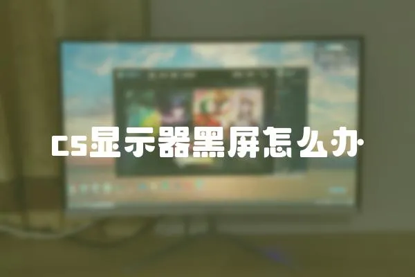 cs顯示器黑屏怎么辦