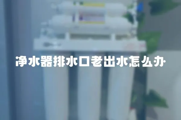 凈水器排水口老出水怎么辦