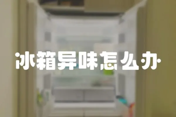 冰箱異味怎么辦