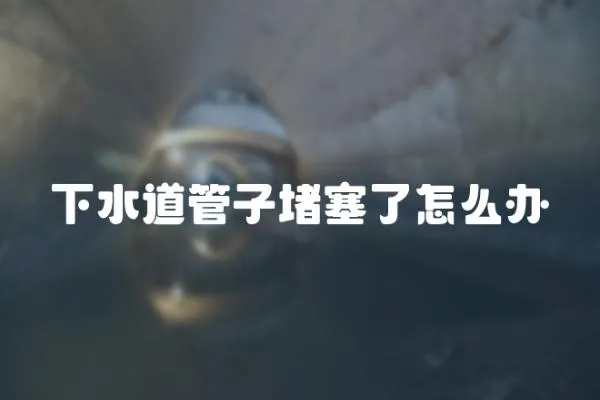 下水道管子堵塞了怎么辦