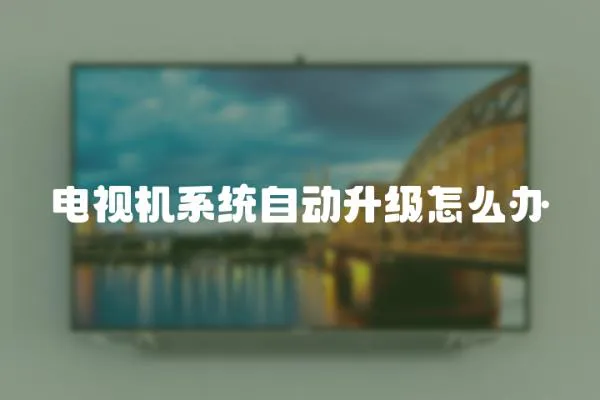 電視機系統自動升級怎么辦