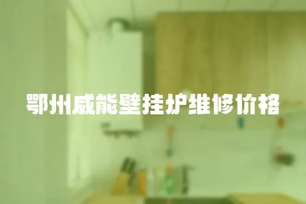 鄂州威能壁掛爐維修價格