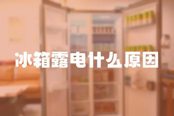 冰箱露電什么原因