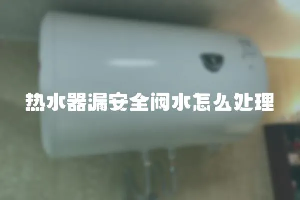熱水器漏安全閥水怎么處理