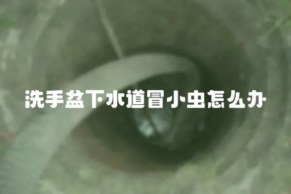 洗手盆下水道冒小蟲怎么辦