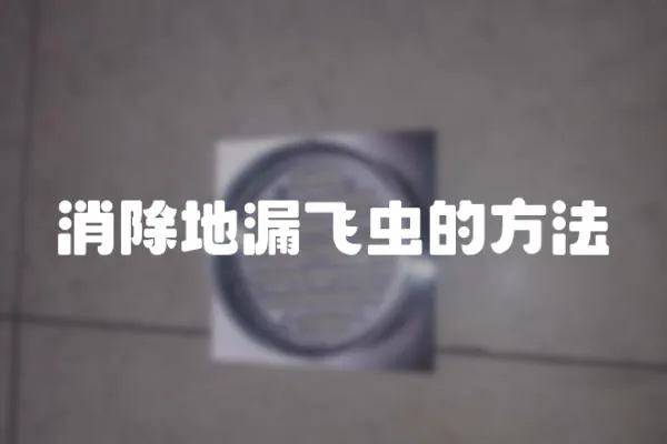 消除地漏飛蟲的方法