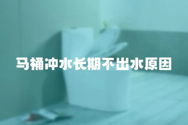 馬桶沖水長(zhǎng)期不出水原因