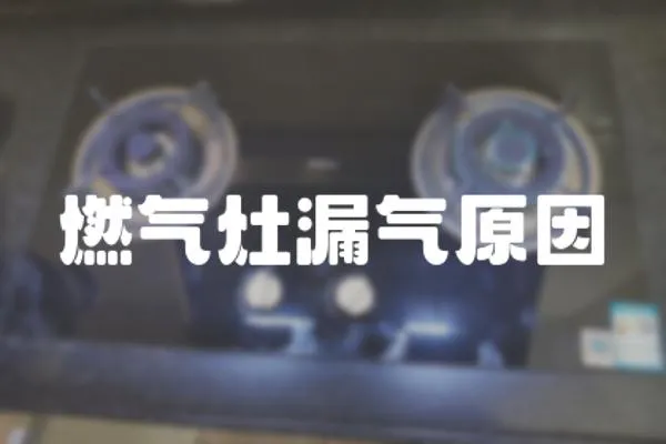 燃?xì)庠盥庠? loading=