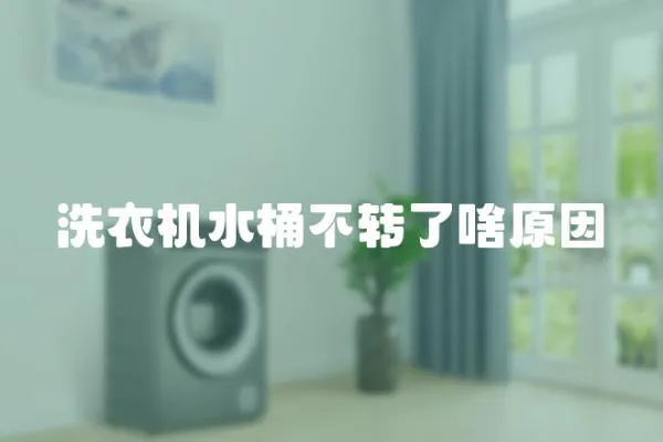 洗衣機水桶不轉(zhuǎn)了啥原因