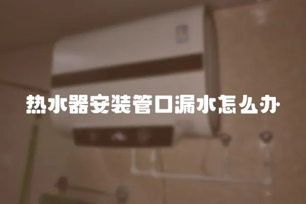 熱水器安裝管口漏水怎么辦