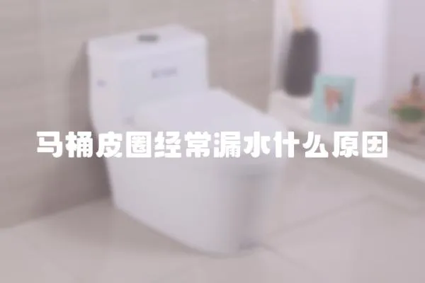 馬桶皮圈經(jīng)常漏水什么原因