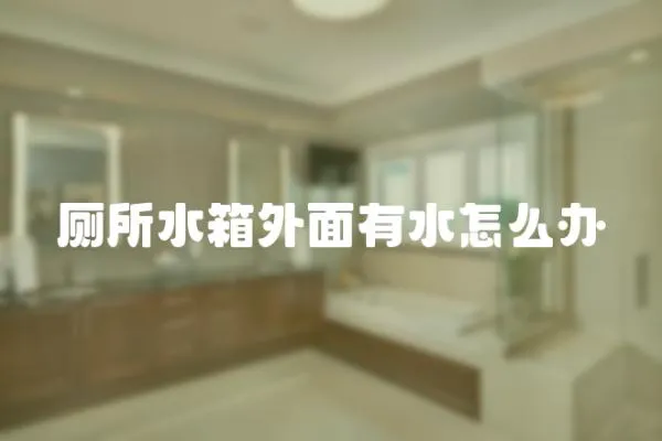 廁所水箱外面有水怎么辦