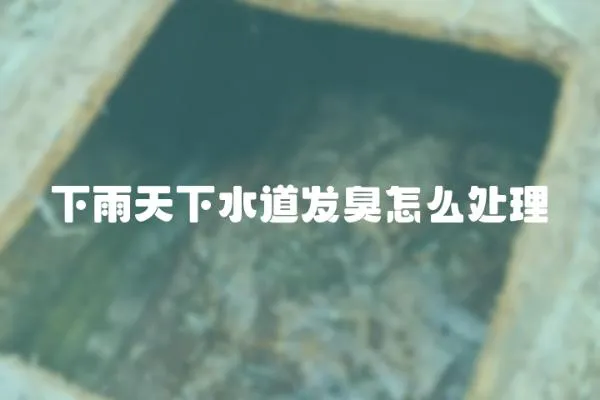 下雨天下水道發臭怎么處理