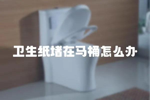 衛生紙堵在馬桶怎么辦