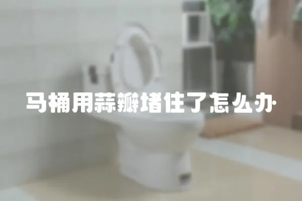 马桶用蒜瓣堵住了怎么办