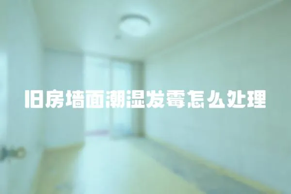 舊房墻面潮濕發霉怎么處理