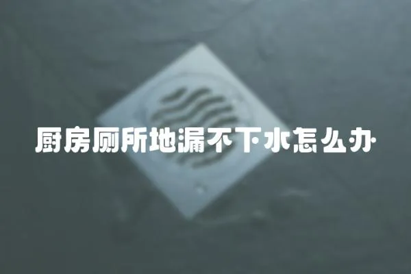 廚房廁所地漏不下水怎么辦