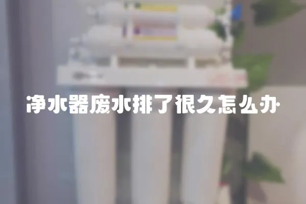 凈水器廢水排了很久怎么辦