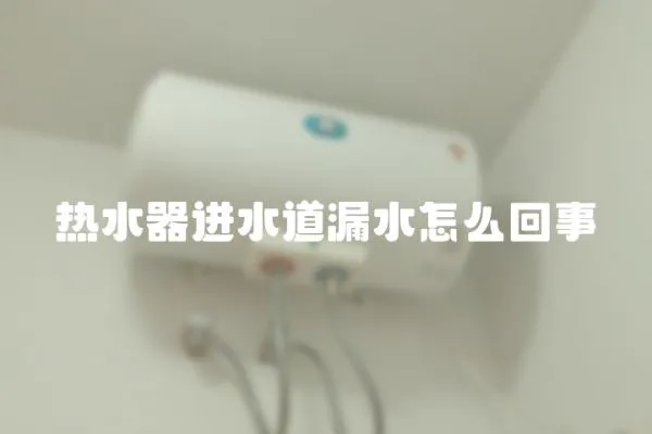 熱水器進(jìn)水道漏水怎么回事