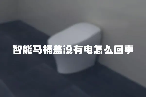 智能马桶盖没有电怎么回事