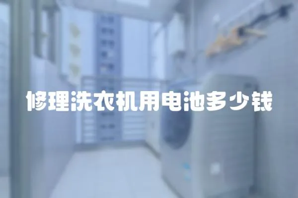 修理洗衣機用電池多少錢