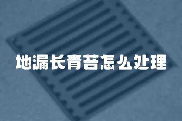 地漏長青苔怎么處理
