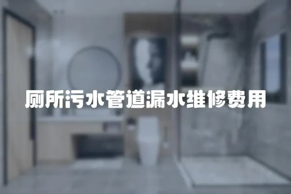 廁所污水管道漏水維修費用