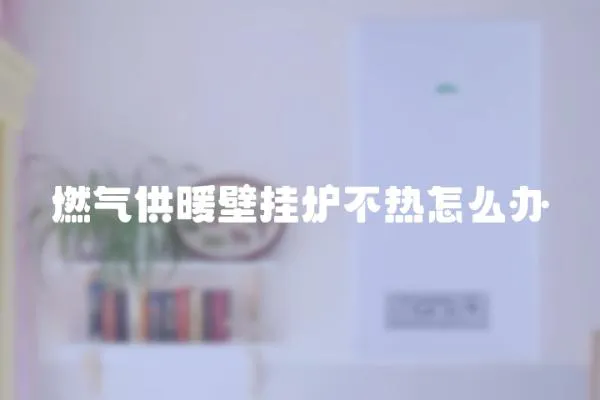 燃氣供暖壁掛爐不熱怎么辦