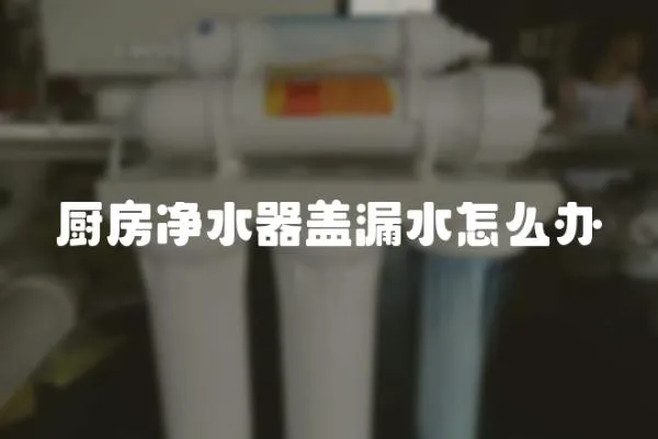 廚房凈水器蓋漏水怎么辦