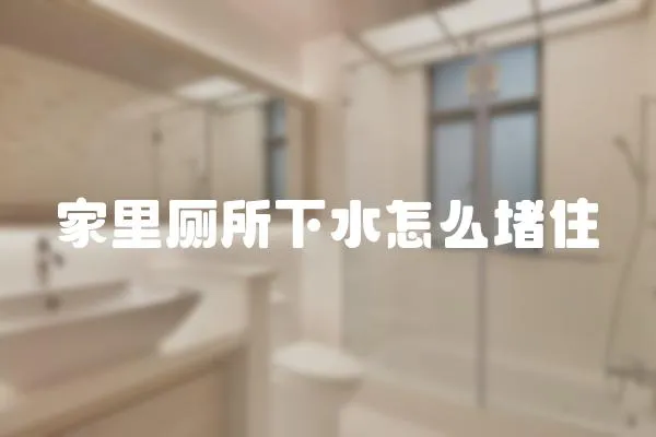 家里廁所下水怎么堵住