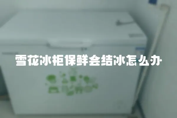 雪花冰柜保鮮會結(jié)冰怎么辦