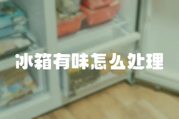 冰箱有味怎么處理