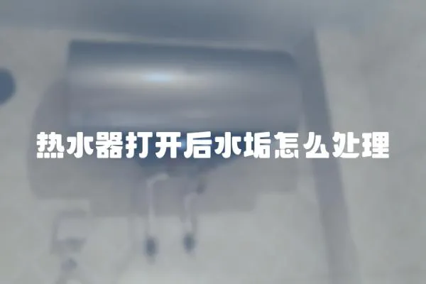 熱水器打開后水垢怎么處理