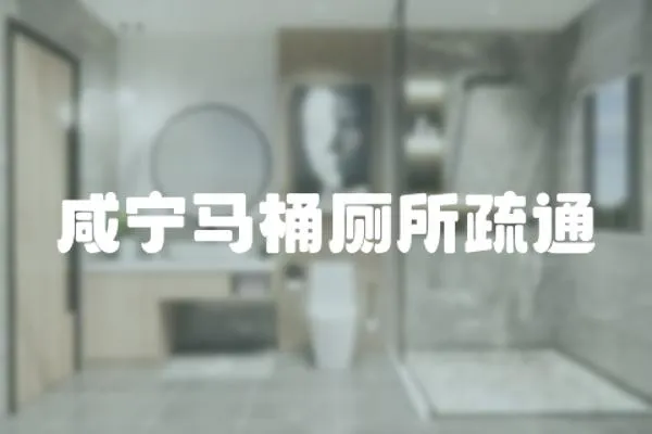 咸寧馬桶廁所疏通