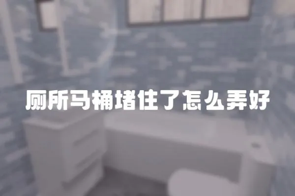 廁所馬桶堵住了怎么弄好