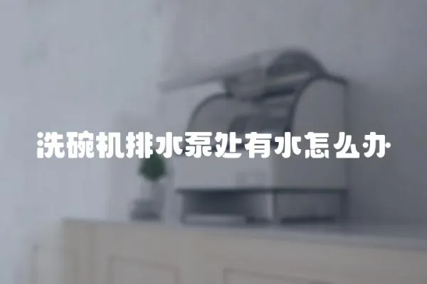 洗碗機排水泵處有水怎么辦