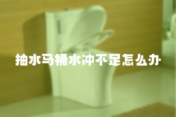 抽水馬桶水沖不足怎么辦