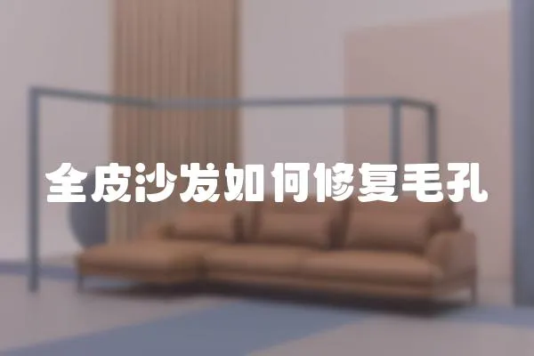 全皮沙發(fā)如何修復(fù)毛孔