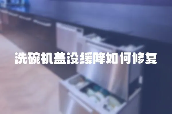 洗碗機蓋沒緩降如何修復