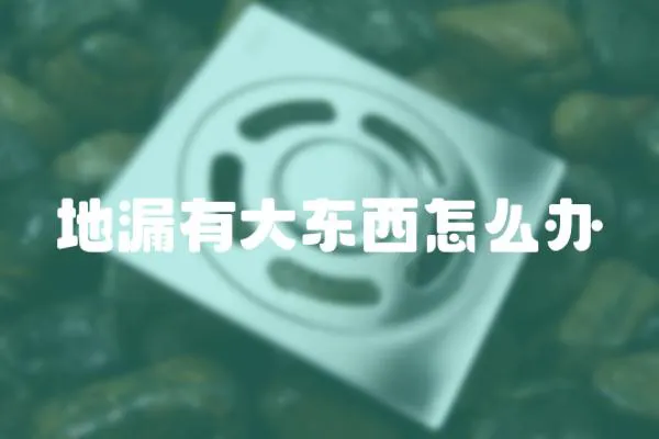地漏有大東西怎么辦