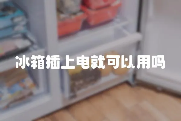 冰箱插上電就可以用嗎