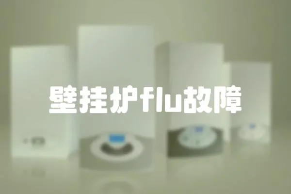 壁掛爐flu故障